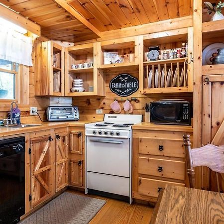 Villa Quaint & Secluded Near Dollywood With Bbq&Hot Tub à Pigeon Forge Extérieur photo